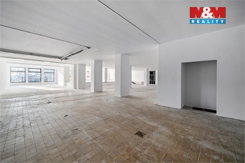 Pronájem obchodních prostor, 780 m² - 14