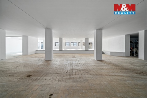 Pronájem obchodních prostor, 780 m² 4