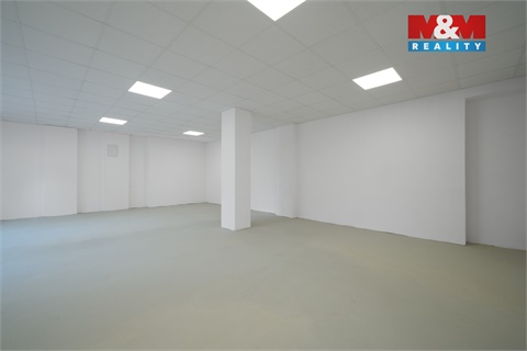 Pronájem obchodních prostor, 780 m² 8