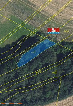 Prodej louky, 502 m²