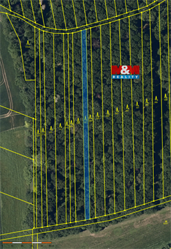 Prodej lesu, 947 m²