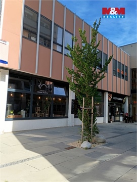 Pronájem obchodních prostor, 180 m² 2