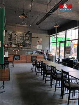 Pronájem obchodních prostor, 180 m² - 8