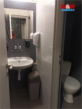 Pronájem obchodních prostor, 180 m² - 4