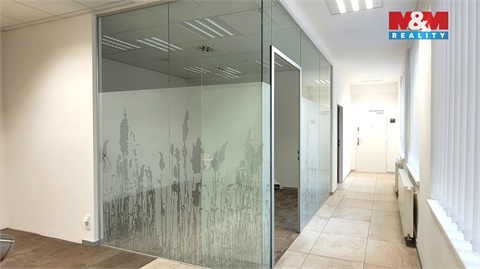 Pronájem obchodních prostor, 180 m² - 6