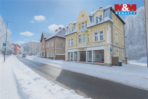 Pronájem obchodních prostor, 180 m² - 16