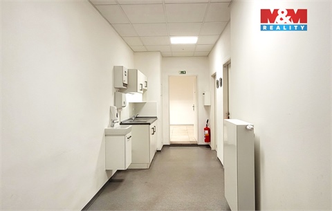 Pronájem obchodních prostor, 180 m² 10