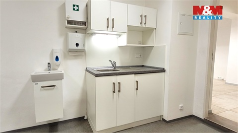 Pronájem obchodních prostor, 180 m² - 8