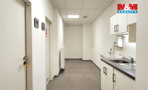 Pronájem obchodních prostor, 180 m² 8