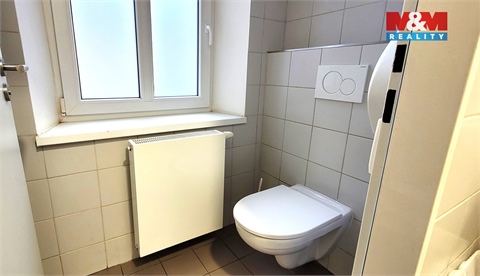 Pronájem obchodních prostor, 180 m² 12