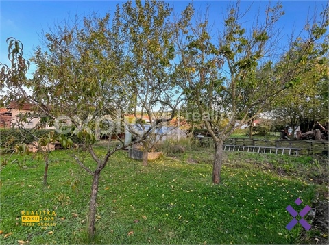 Prodej zahrady, 581 m² - 20