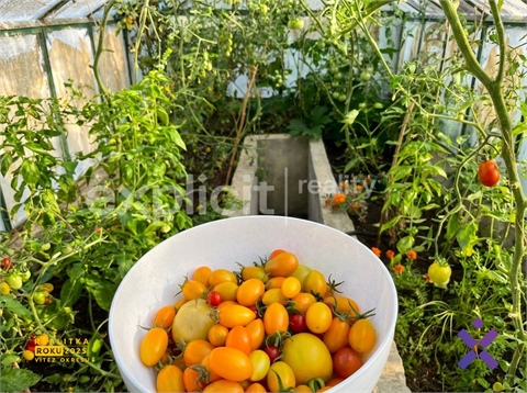 Prodej zahrady, 581 m² 20