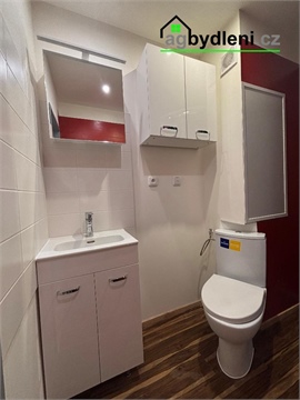 Pronájem bytu 2kk, 36 m² 4