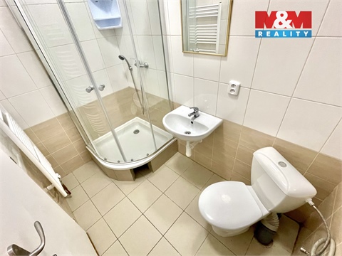 Pronájem bytu 3kk, 56 m² 8