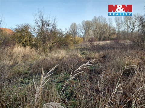 Prodej pozemku pro komerční výstavbu, 16 998 m² - 6