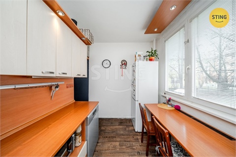 Prodej bytu 3+1, 55 m² 4