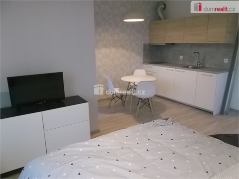Pronájem bytu 1kk, 33 m² - 10