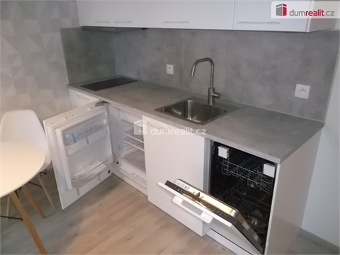 Pronájem bytu 1kk, 33 m² 2