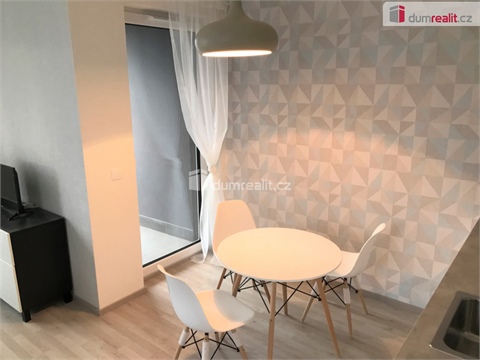 Pronájem bytu 1kk, 33 m² 4