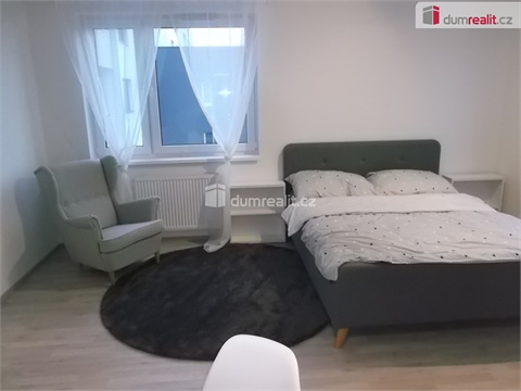 Pronájem bytu 1kk, 33 m² - 4