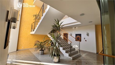 Pronájem kanceláře, 367 m² - 12