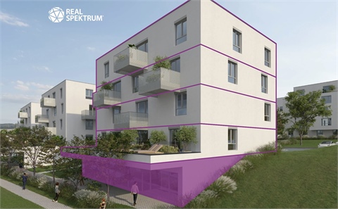 Prodej obchodních prostor, 174 m² 0