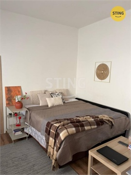 Pronájem obchodních prostor, 50 m² - 16