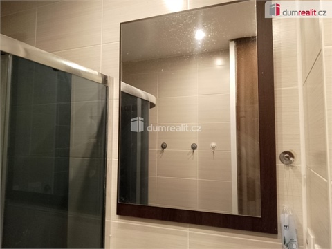 Pronájem bytu 2+1, 55 m² 22