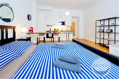 Pronájem bytu 1kk, 33 m² 6