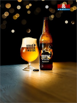 Prodej obchodních prostor, 560 m² 12