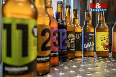 Prodej obchodních prostor, 560 m² 10