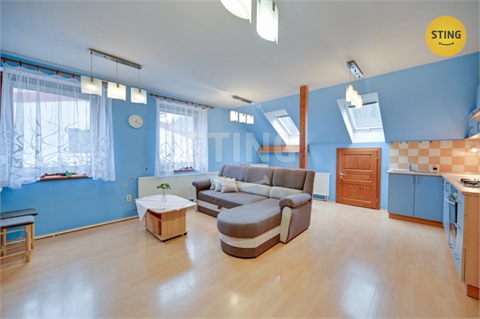 Prodej bytu 3kk, 736 m² 18