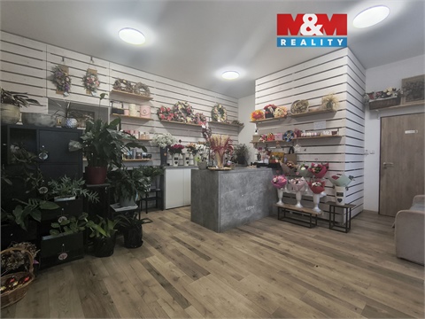 Pronájem obchodních prostor, 36 m² 0