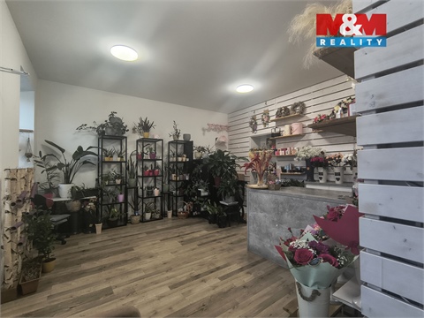 Pronájem obchodních prostor, 36 m² 2