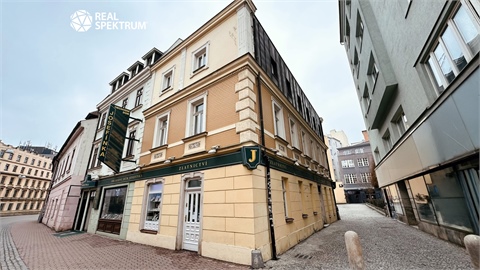 Pronájem obchodních prostor, 117 m² - 4