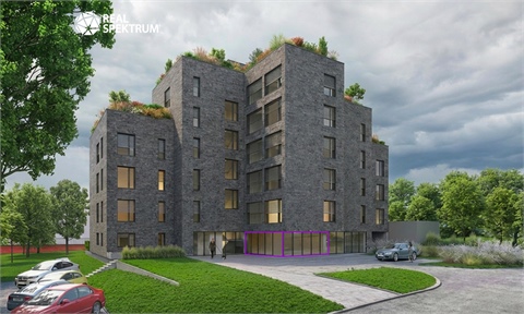 Pronájem obchodních prostor, 45 m² 0