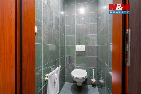 Pronájem obchodních prostor, 324 m² - 8