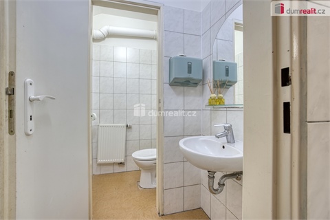 Pronájem bytu 3kk, 100 m² 12