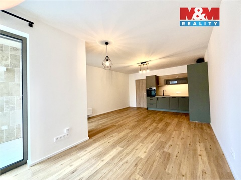 Pronájem bytu 1kk, 41 m² 4