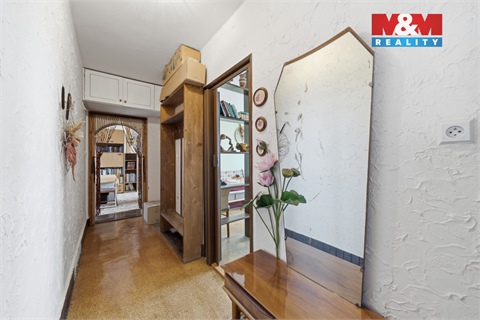 Prodej bytu 3+1, 53 m² 14