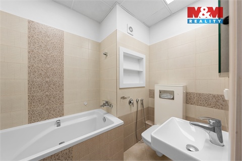 Pronájem bytu 3+1, 67 m² - 12