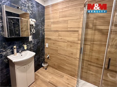 Pronájem bytu 1kk, 30 m² - 0