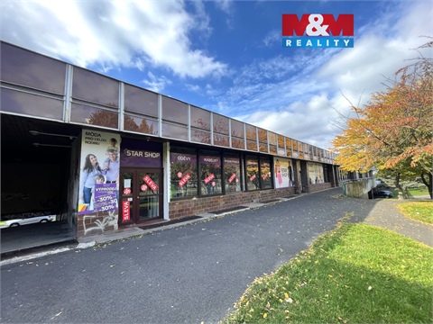 Pronájem obchodních prostor, 1 000 m² 0