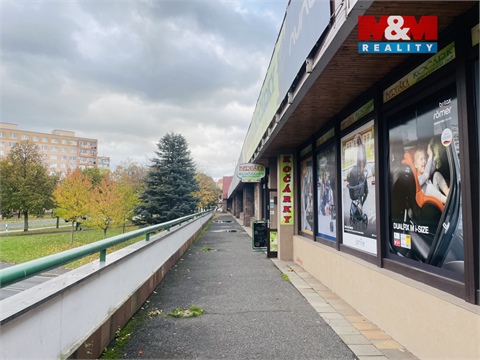 Pronájem obchodních prostor, 1 000 m² - 0