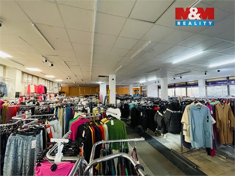 Pronájem obchodních prostor, 1 000 m² - 2