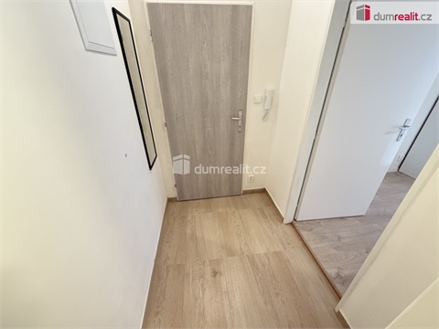 Pronájem bytu 1kk, 48 m² - 8