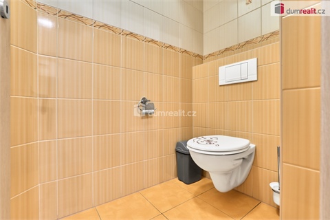 Prodej rodinného domu, 570 m² - 12