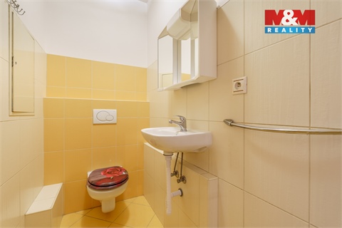 Pronájem bytu 1+1, 36 m² 12