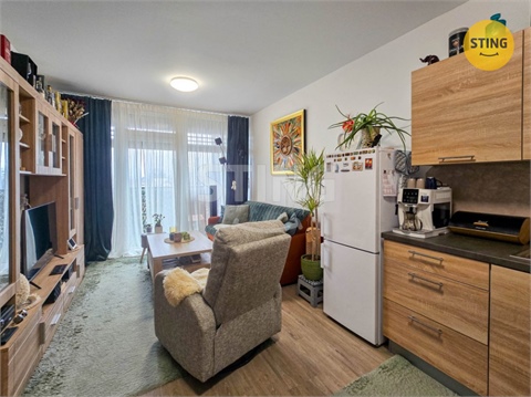 Prodej bytu 1kk, 30 m² 2