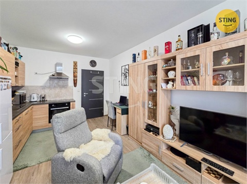 Prodej bytu 1kk, 30 m² - 0